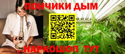 mdpv Владикавказ