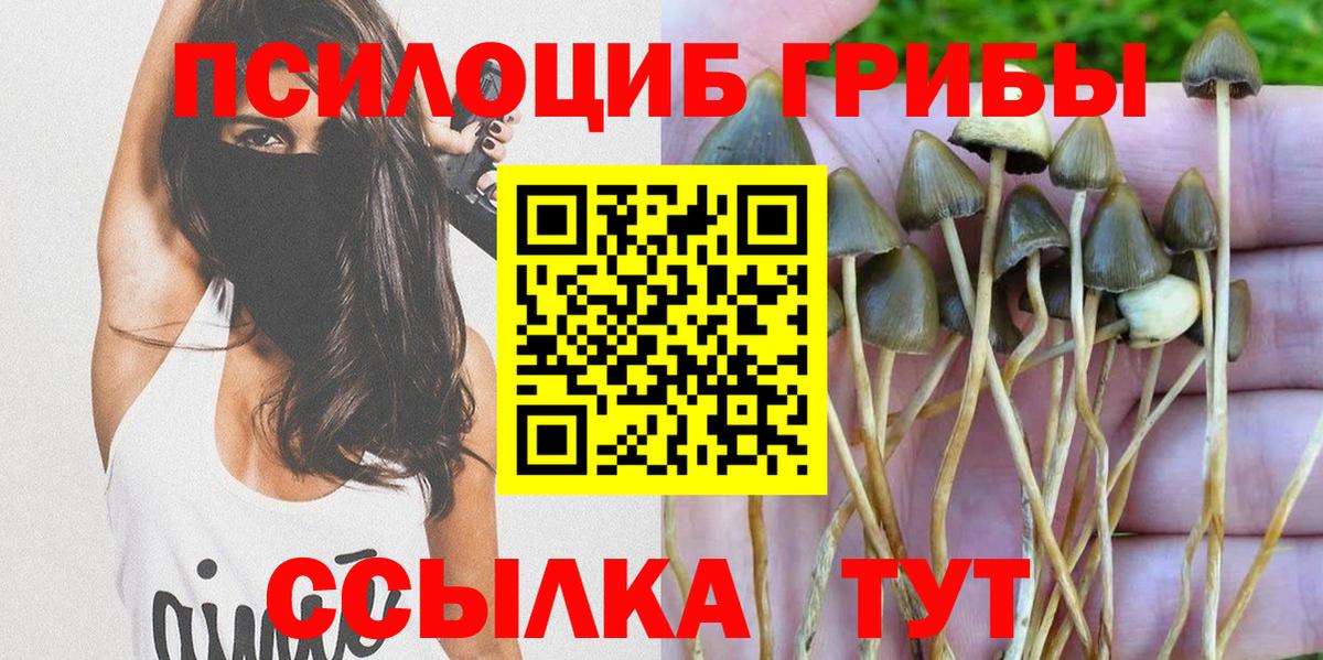 Псилоцибиновые грибы Psilocybine cubensis Новочеркасск